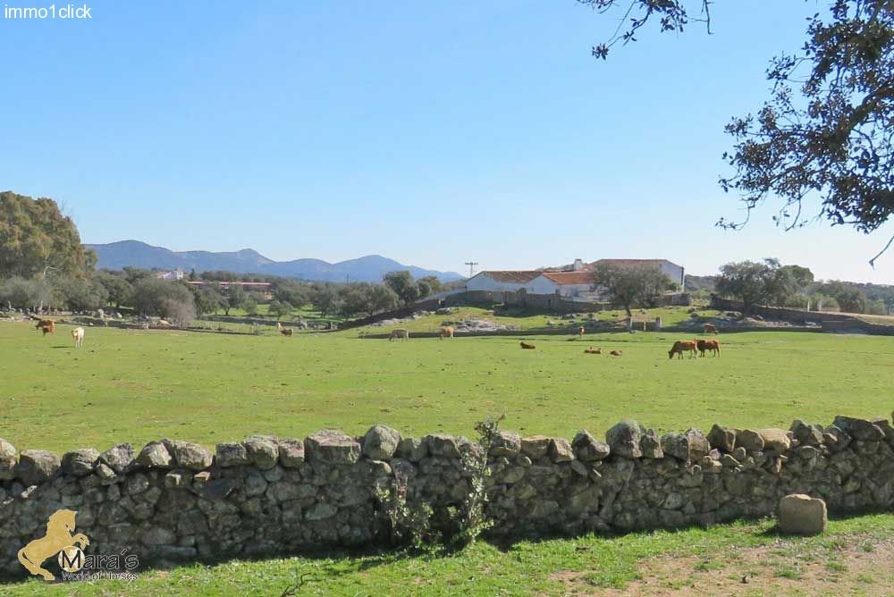 Finca, Dehesa mit Korkeichen, Andalusien, Sevilla, Huelva zu verkaufen 