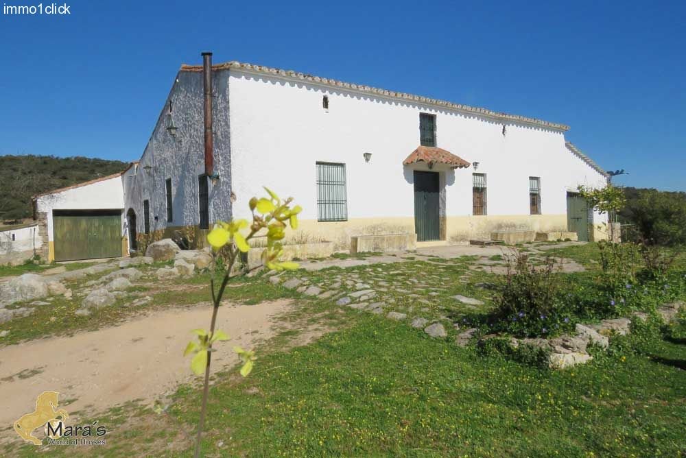 Finca, Dehesa mit Korkeichen, Andalusien, Sevilla, Huelva zu verkaufen