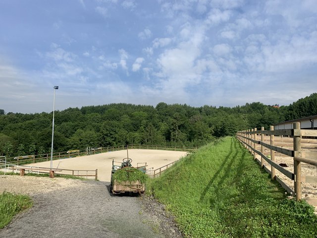 2457 österreich, südoststeiermark, wohnung mit pferdestall zu verkaufen