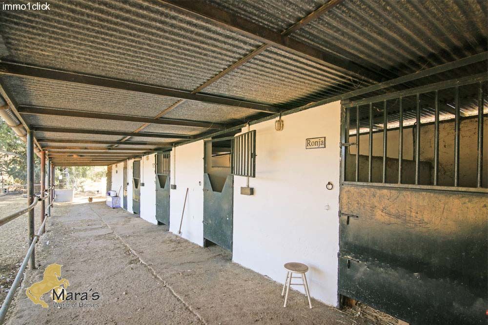 Casa con piscina y cuadras para caballos, Sevilla, Coto Donana, en venta  