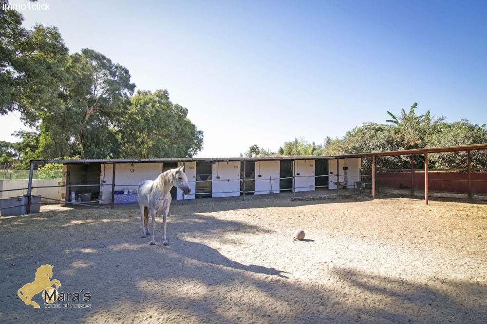 Casa con piscina y cuadras para caballos, Sevilla, Coto Donana, en venta  