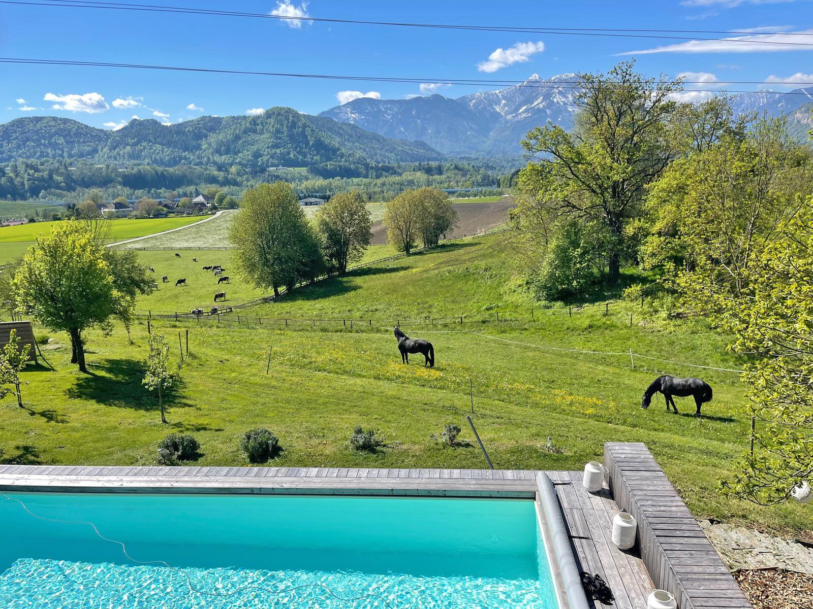 2522HC austria, carintia, völkermarkt, casa de campo con establo para caballos en venta