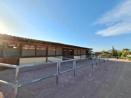 2523SS españa, alicante, monovar, finca de invitados, finca en venta