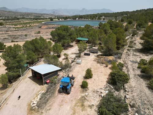 2523SS españa, alicante, monovar, finca de invitados, finca en venta