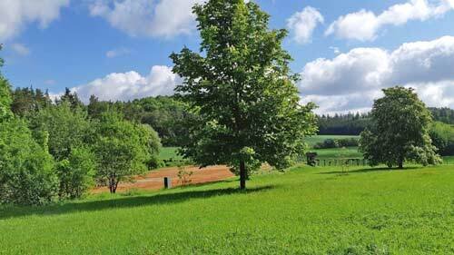 Alemania, 2529 Baviera, Alta Franconia, Suiza Francona, casa con establo en venta