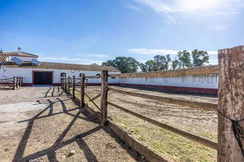 2525FS andalucia, sevilla, cortijo, en venta