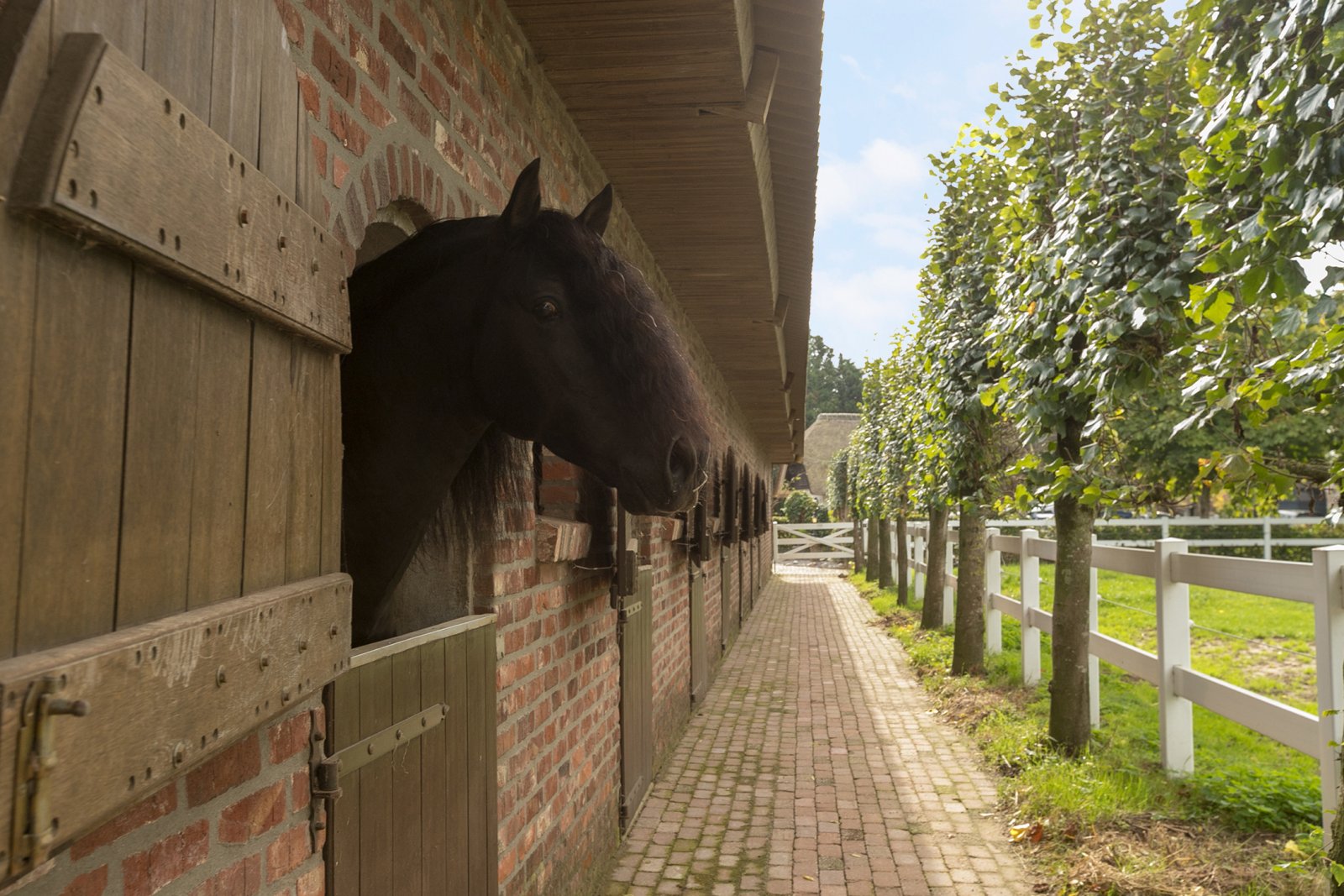 2323 Países Bajos, Ven-Zelderheide: se vende exclusiva propiedad ecuestre