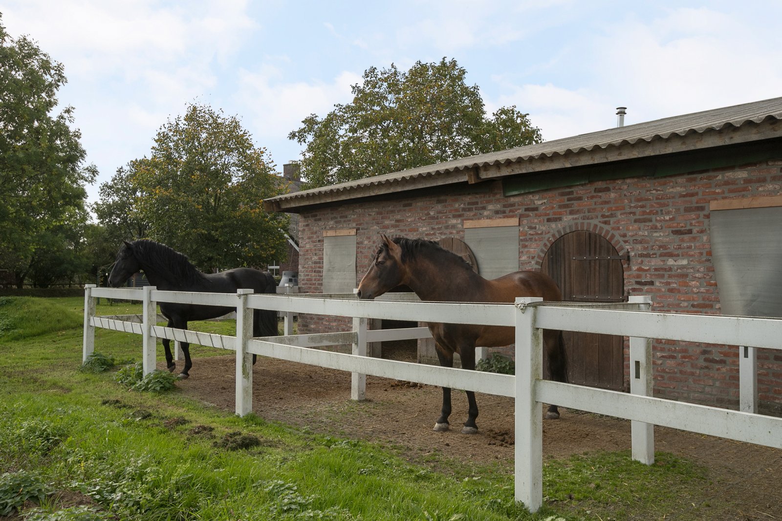 2323 Países Bajos, Ven-Zelderheide: se vende exclusiva propiedad ecuestre