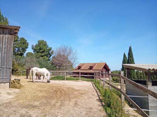 2531 España, Valencia, Montserrat, finca con cuadra de caballos en venta