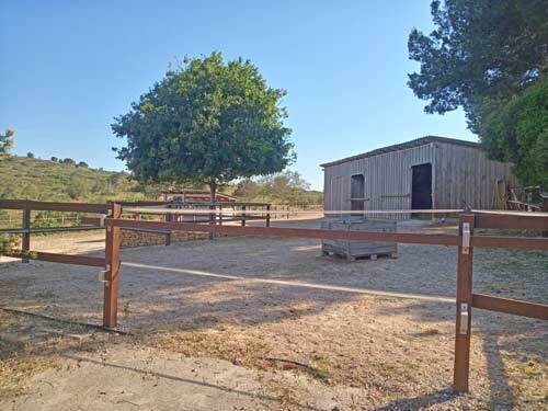 2531 España, Valencia, Montserrat, finca con cuadra de caballos en venta
