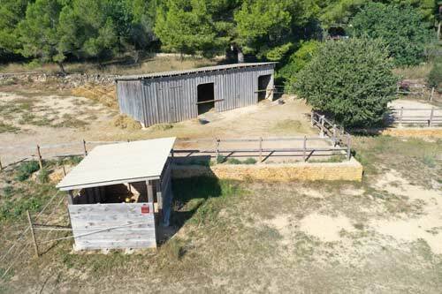 2531 España, Valencia, Montserrat, finca con cuadra de caballos en venta