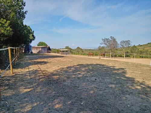 2531 España, Valencia, Montserrat, finca con cuadra de caballos en venta