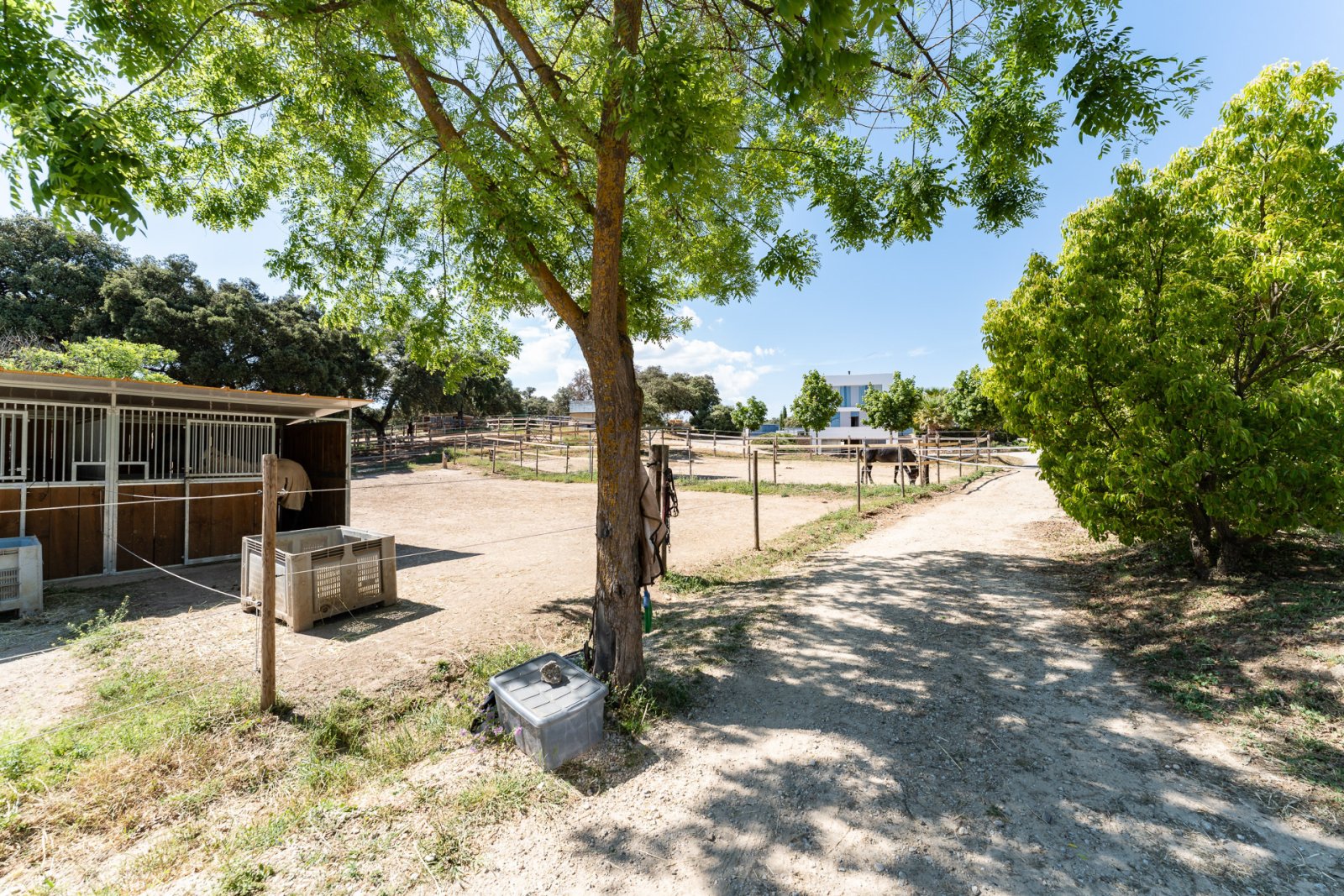 2527 andalucia, ronda, cuadra, centro ecuestre, finca en venta
