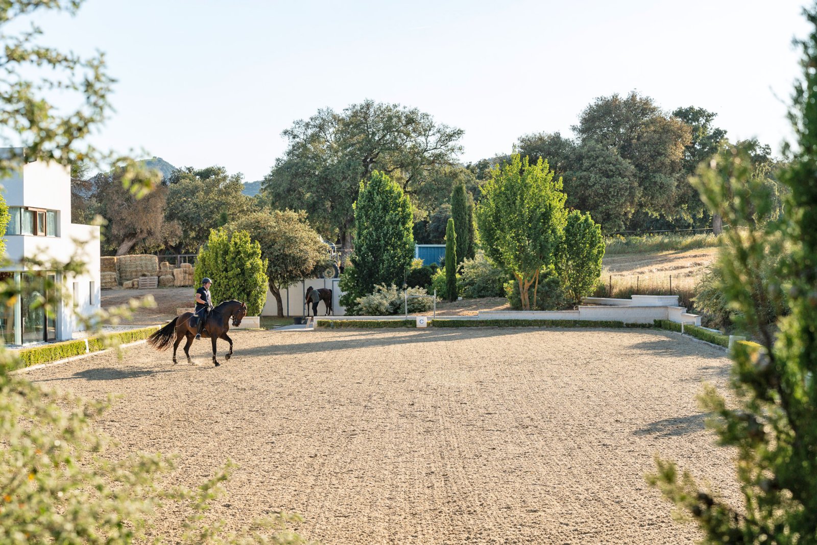 2527 andalucia, ronda, cuadra, centro ecuestre, finca en venta