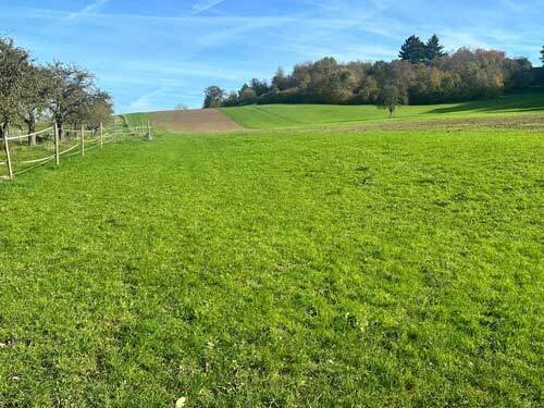 2530 germany, Baden-Wurtemberg, Heilbronn, venta de instalaciones ecuestres, cento equestre