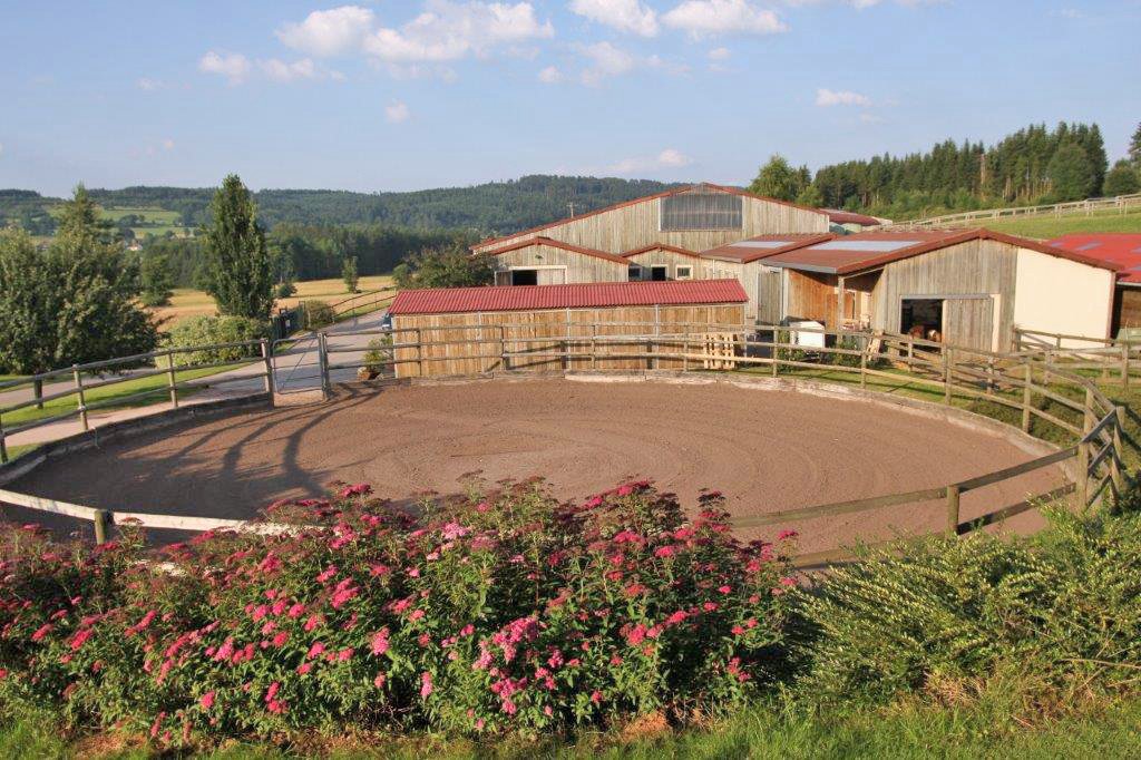 2538MP Francia, Vosgos, Epinal, ganadería, centro ecuestre en venta