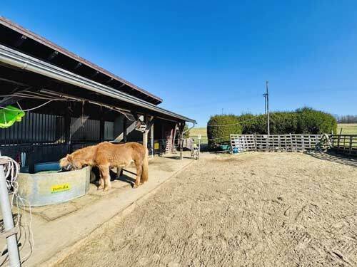 2542MK Renania-Palatinado, Westerwald, Bellingen, casa, establo, picadero, en venta