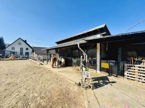 2542MK Renania-Palatinado, Westerwald, Bellingen, casa, establo, picadero, en venta