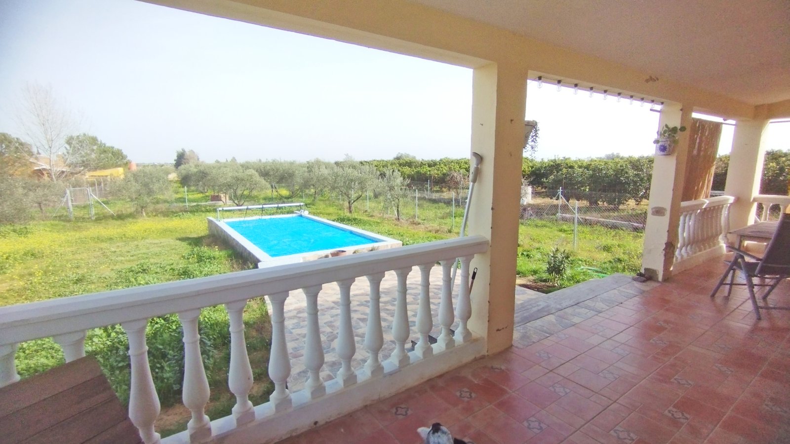 2405 Andalucía, Huelva, La Palma del Condado, casa finca con piscina en venta