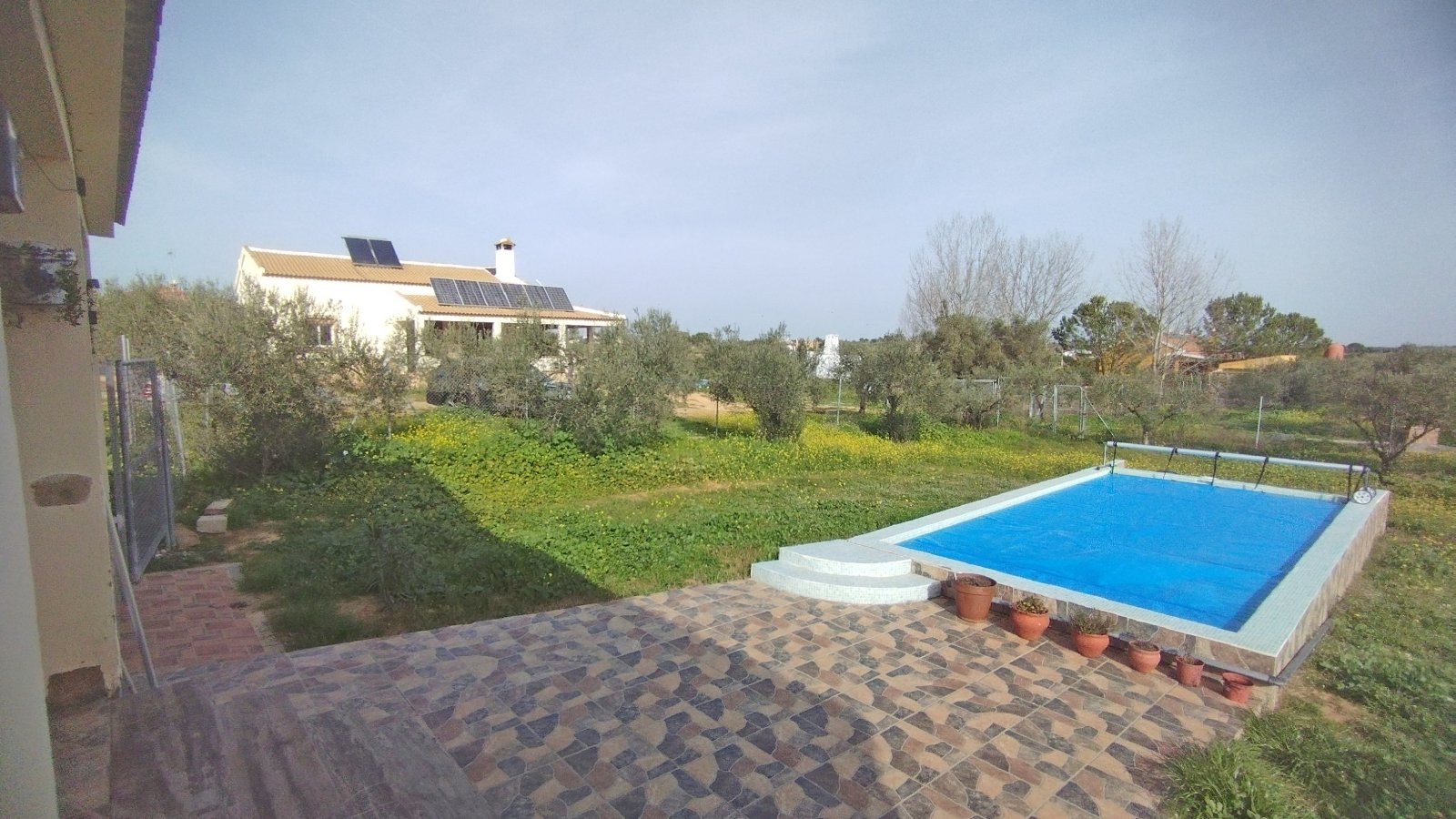 2405 Andalucía, Huelva, La Palma del Condado, casa finca con piscina en venta