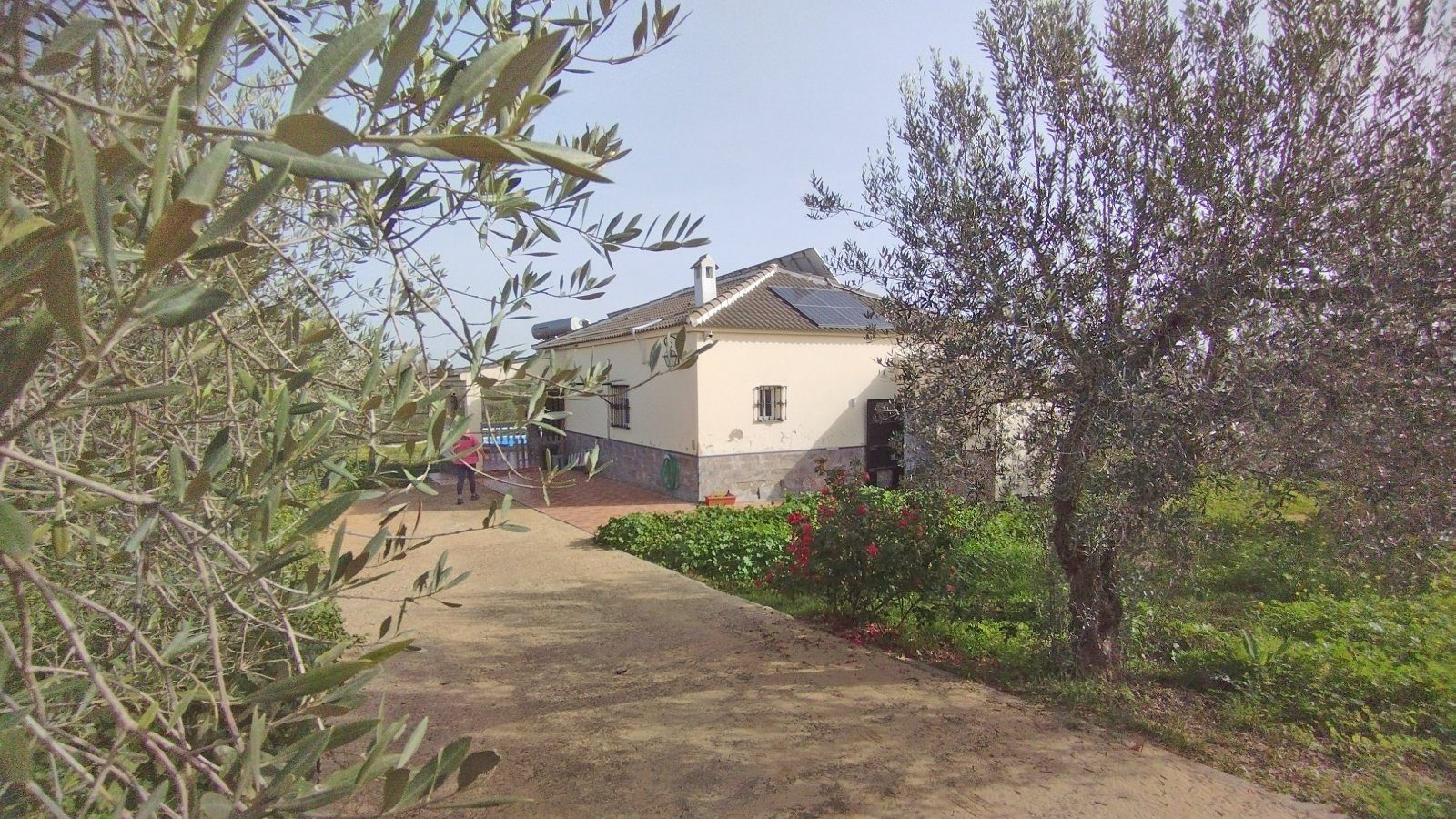 2405 Andalucía, Huelva, La Palma del Condado, casa finca con piscina en venta