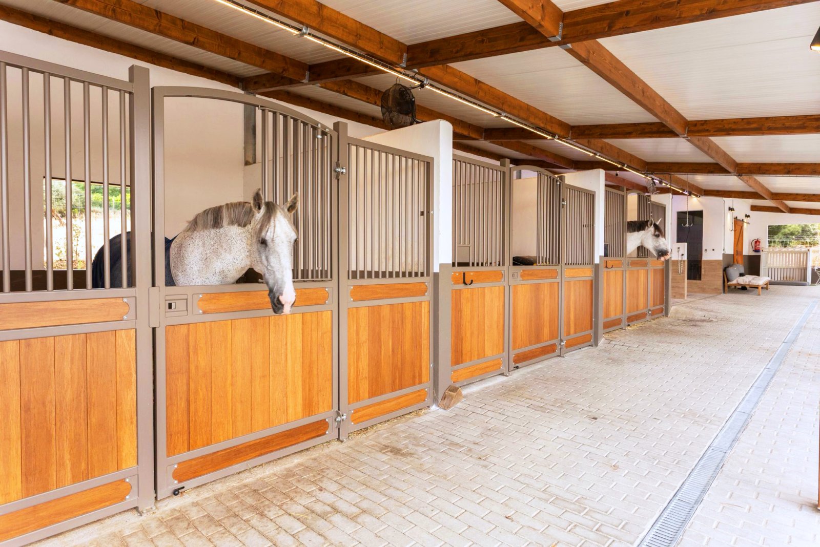 2546 Portugal, Alentejo, Arraiolos, finca de lujo con cuadra de caballos