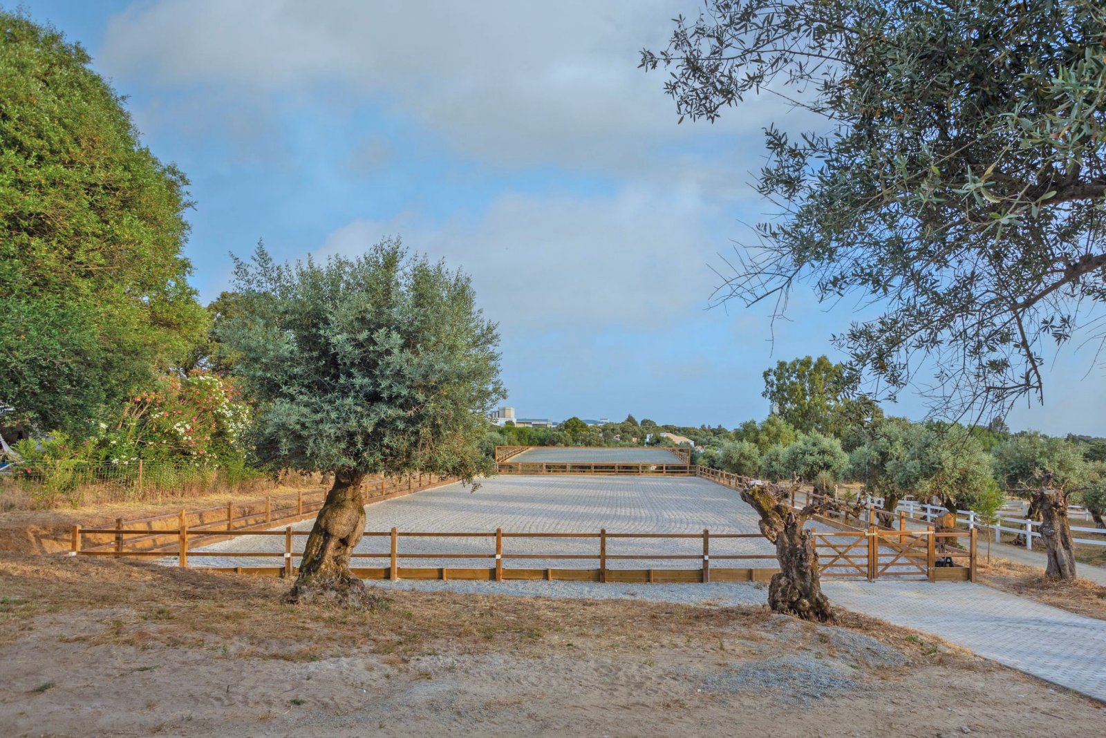 2546 Portugal, Alentejo, Arraiolos, finca de lujo con cuadra de caballos