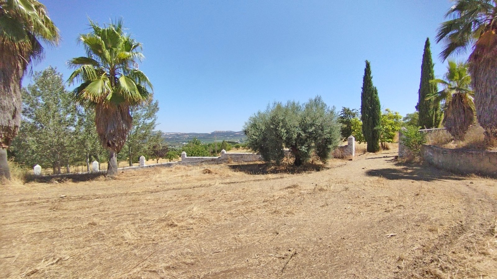 2547JR España, Andalucía, Cádiz, Setenil, finca, cortijo en venta