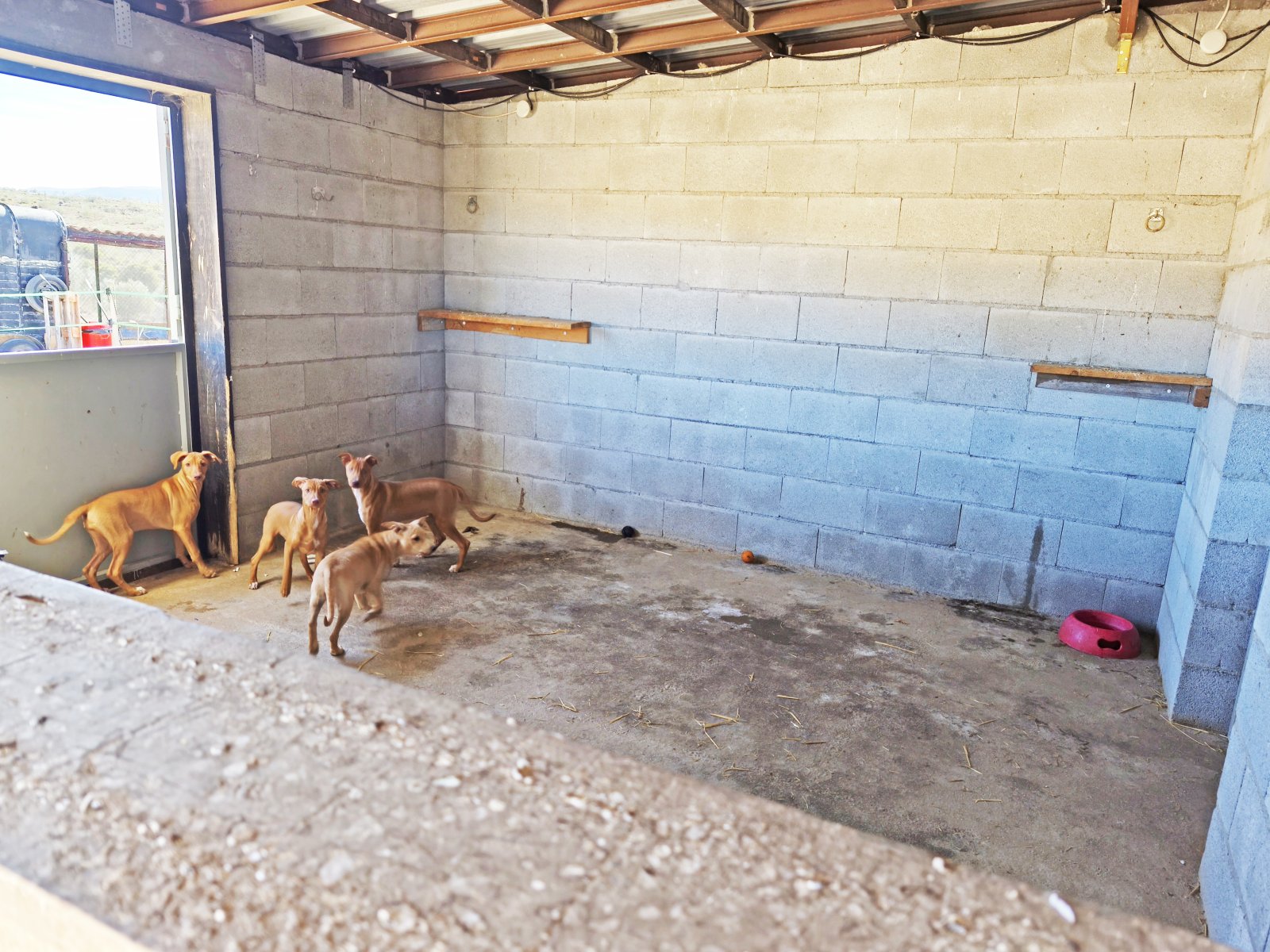 2552 España, Andalucía, Almería, Serón, Finca, Piscina, Establo en venta