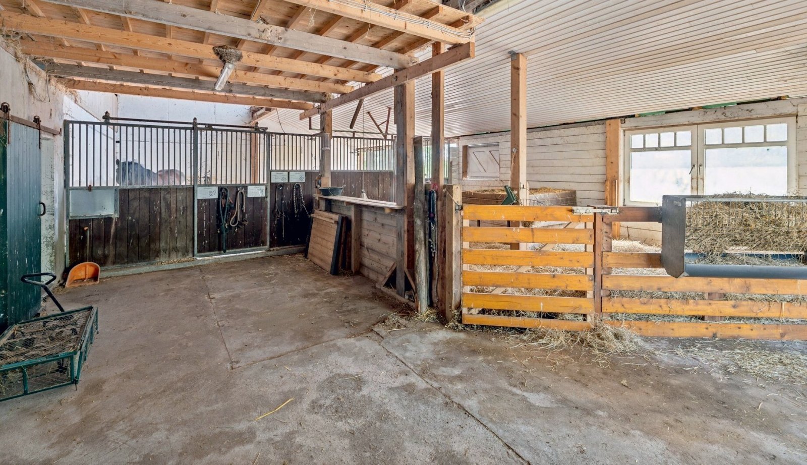 2554 Schleswig-Holstein, Plön, Mar Báltico, Selenter See, casa, establo en venta