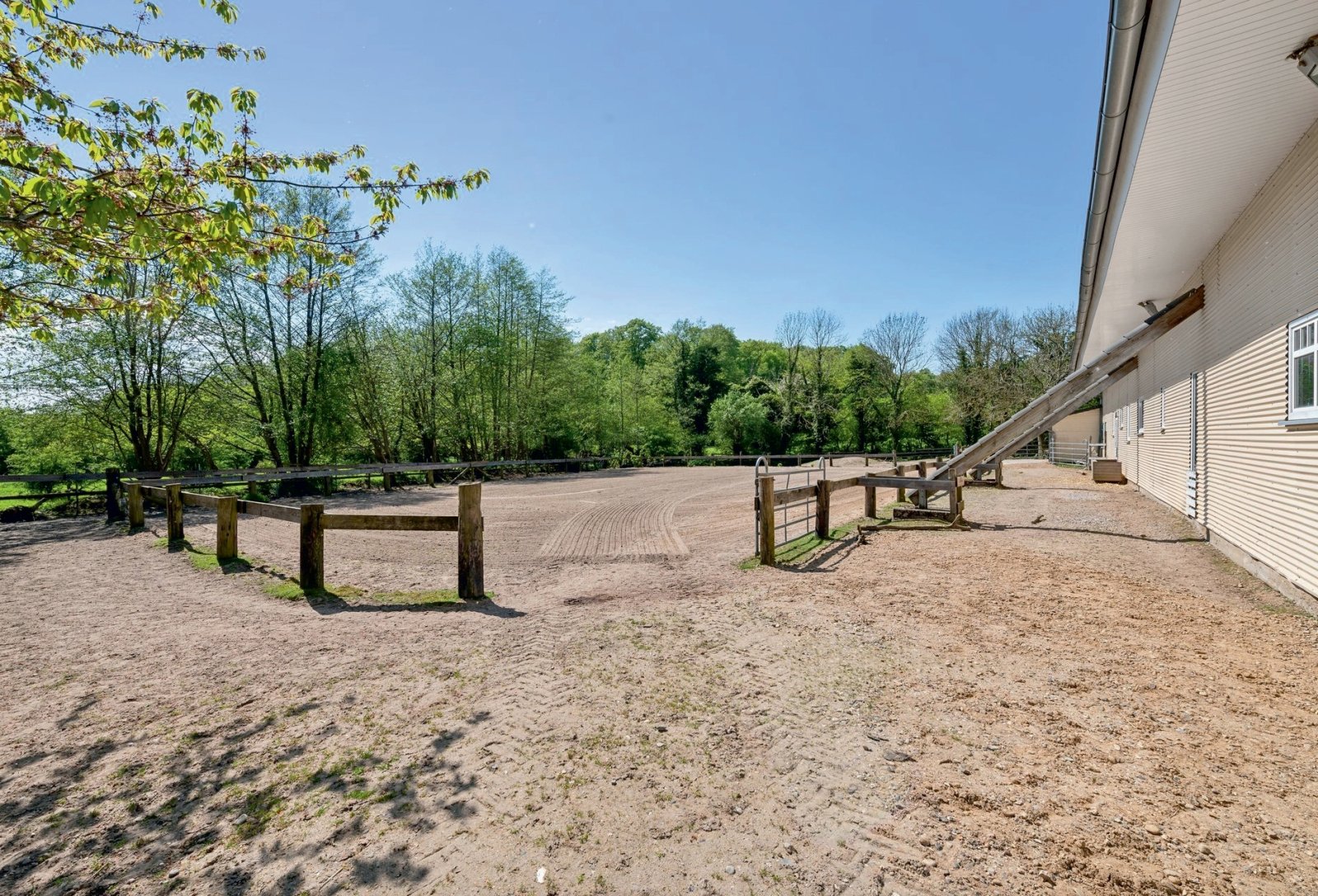 2554 Schleswig-Holstein, Plön, Mar Báltico, Selenter See, casa, establo en venta