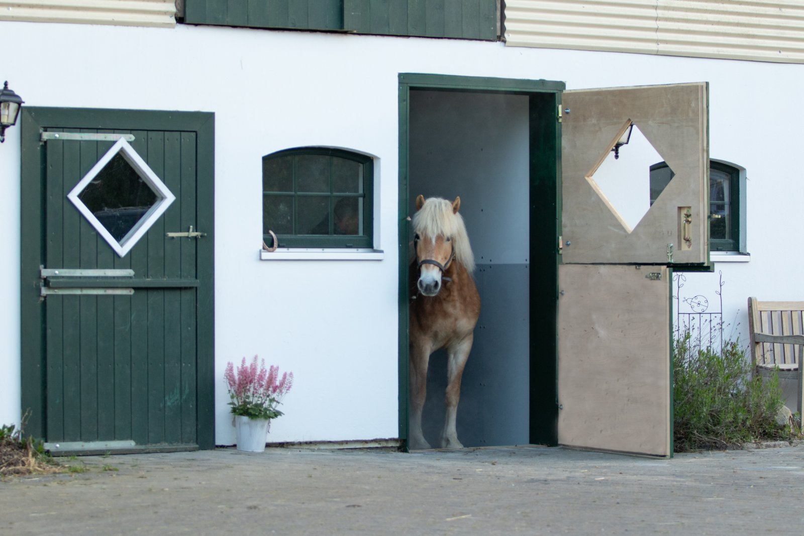 2554 Schleswig-Holstein, Plön, Mar Báltico, Selenter See, casa, establo en venta