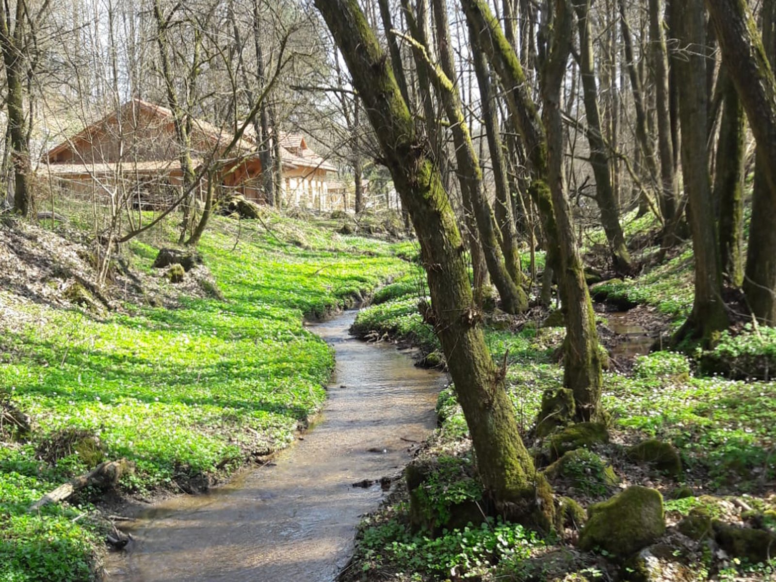 2549 Baviera, Alto Palatinado, distrito de Cham, Zell, casa con arroyo, estanque de natación, establo abierto en venta