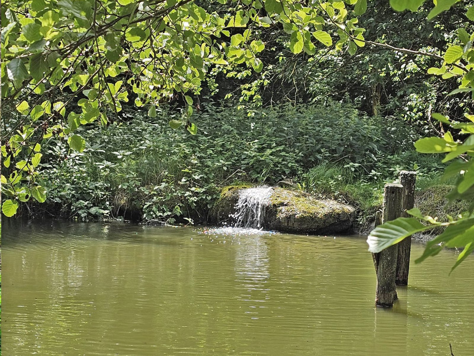 2549 Baviera, Alto Palatinado, distrito de Cham, Zell, casa con arroyo, estanque de natación, establo abierto en venta