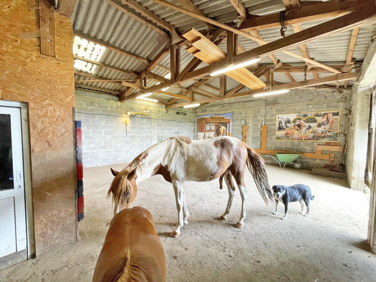 2601 East Hesse, distrito de Fulda, 36154 Hosenfeld, casa grande con apartamento anexo + cuadra en venta