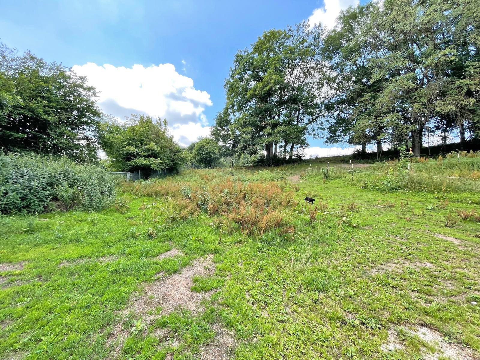 2601 East Hesse, distrito de Fulda, 36154 Hosenfeld, casa grande con apartamento anexo + cuadra en venta