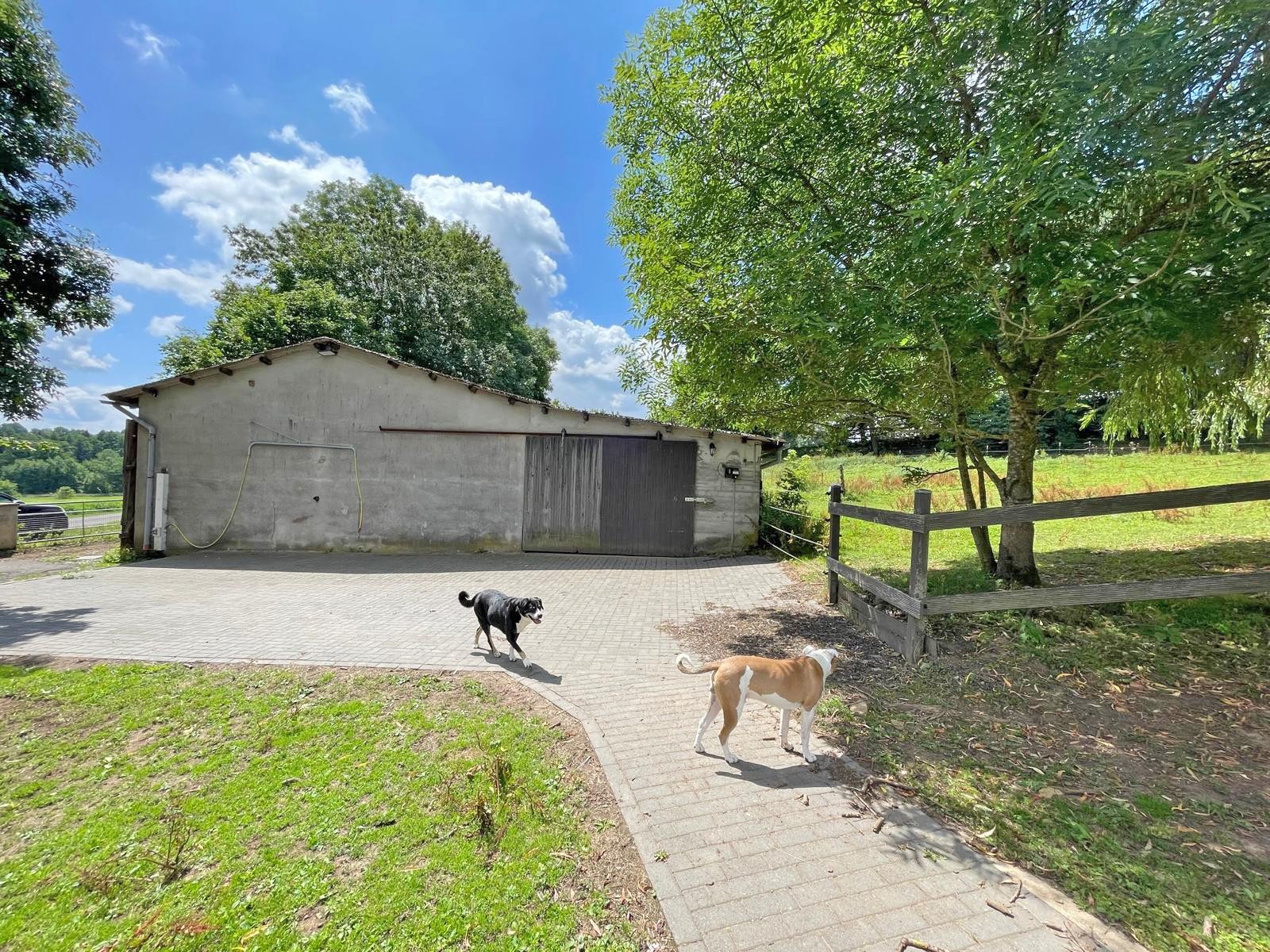 2601 East Hesse, distrito de Fulda, 36154 Hosenfeld, casa grande con apartamento anexo + cuadra en venta