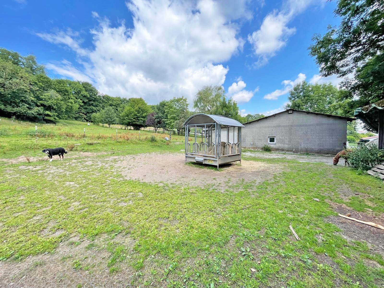 2601 East Hesse, distrito de Fulda, 36154 Hosenfeld, casa grande con apartamento anexo + cuadra en venta