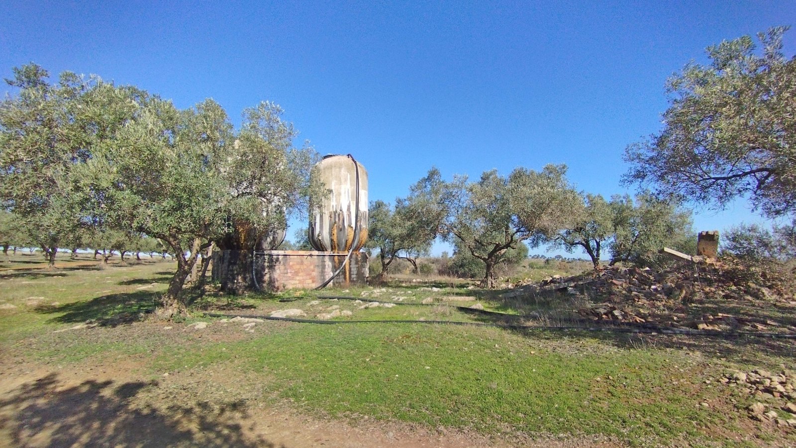 2602 Andalucía, Huelva, Villarossa, finca, casa de huéspedes, piscina, establo, en venta 2602 Andalucía, Huelva, Villarossa, finca, casa de huéspedes, piscina, establo, en venta