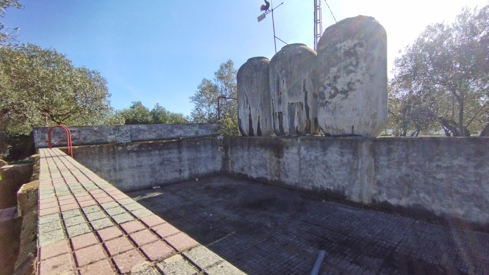 2602 Andalucía, Huelva, Villarossa, finca, casa de huéspedes, piscina, establo, en venta 2602 Andalucía, Huelva, Villarossa, finca, casa de huéspedes, piscina, establo, en venta