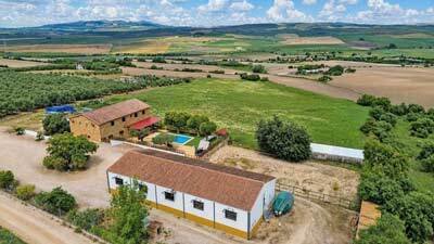 2607SK Andalucía, Arcos de la Frontera, finca, cuadra de caballos, picadero en venta
