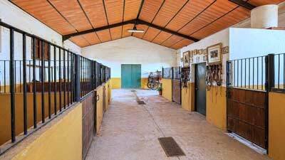 2607SK Andalucía, Arcos de la Frontera, finca, cuadra de caballos, picadero en venta