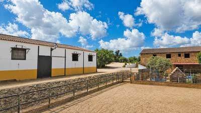 2607SK Andalucía, Arcos de la Frontera, finca, cuadra de caballos, picadero en venta