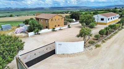 Arcos de la Frontera: Andalucia, Arcos de la Frontera - Finca con cuadras, pista montar, casa y piscina 