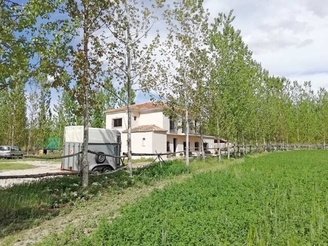 19021 Andalucía, Granada, Guadix, finca, piscina, establo en venta 19021 Andalucía, Granada, Guadix, finca, piscina, establo en venta
