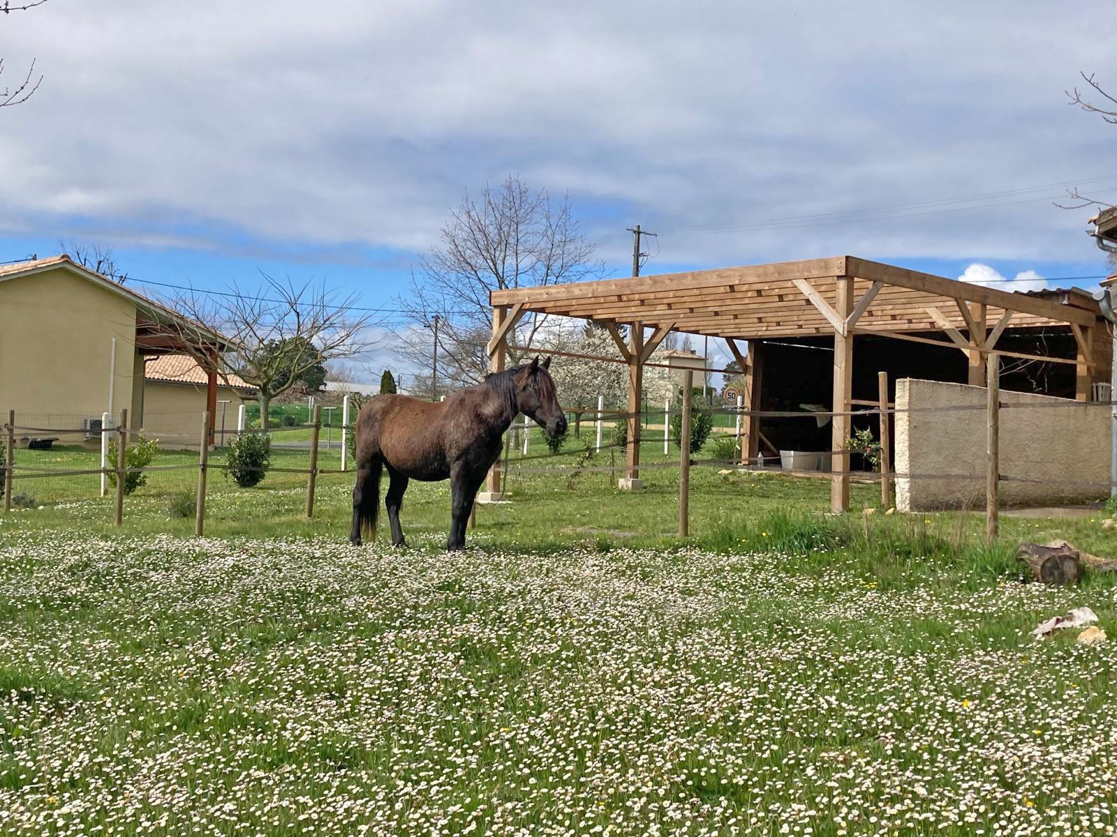 Se vende casa para amantes de los caballos en el número 2609 del suroeste de Francia, en Saint-Émilion.