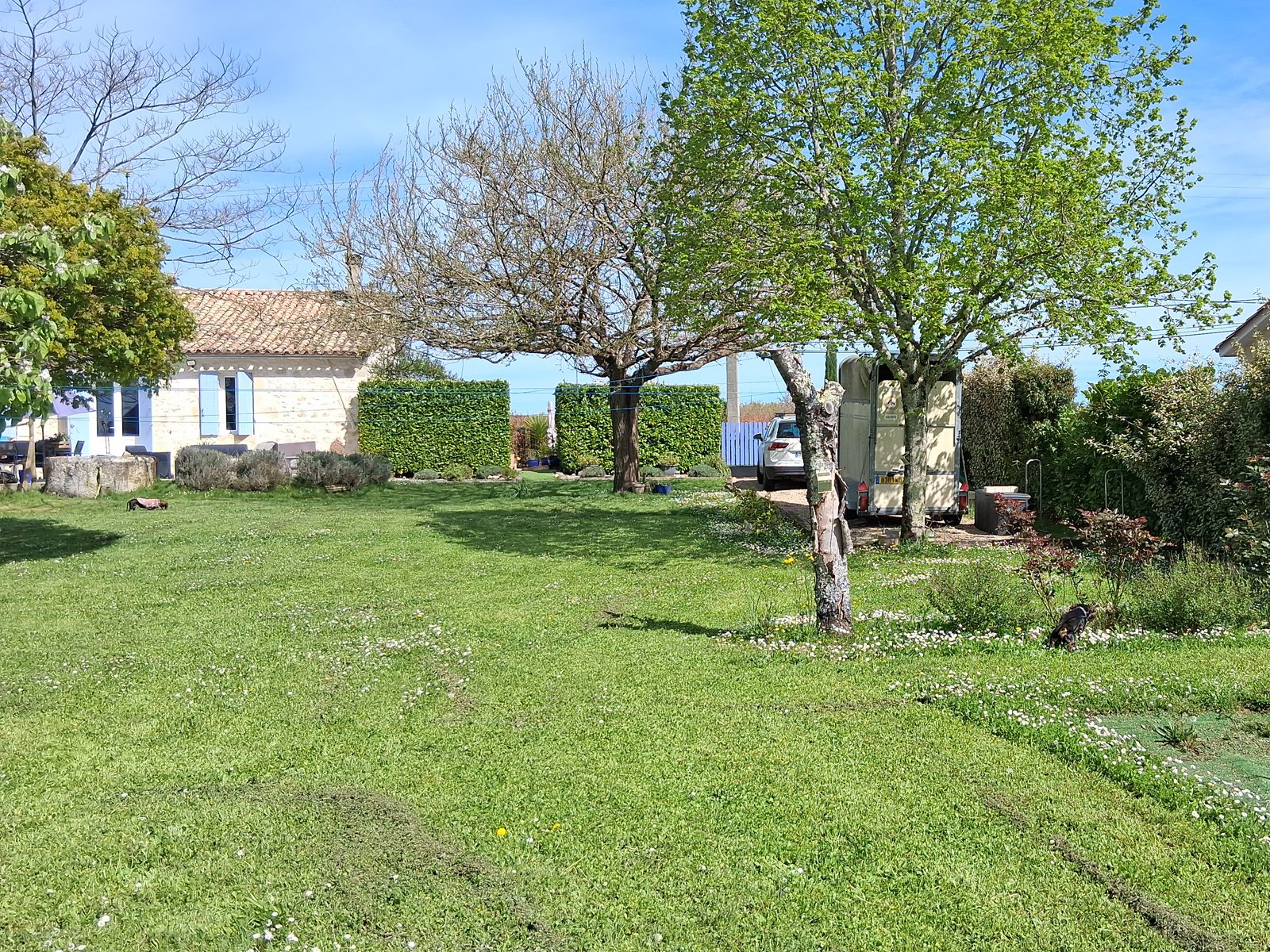 Se vende casa para amantes de los caballos en el número 2609 del suroeste de Francia, en Saint-Émilion.