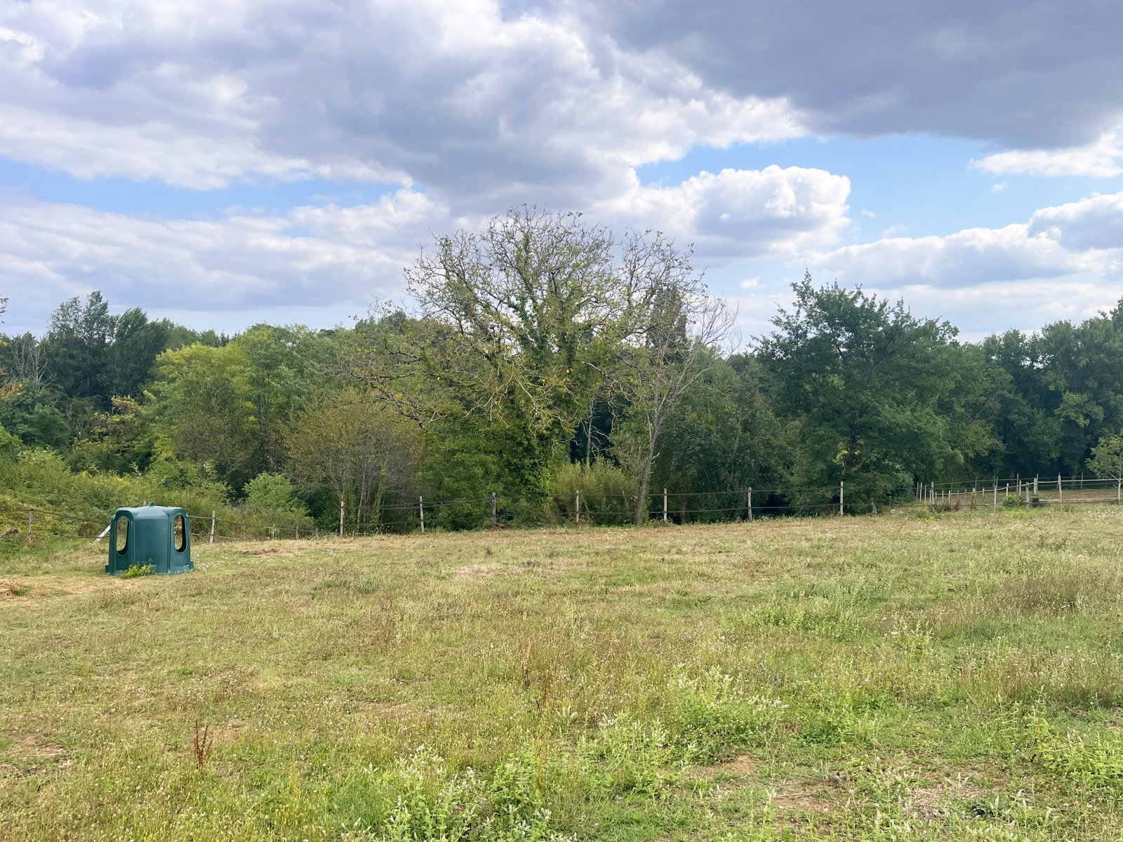 Se vende casa para amantes de los caballos en el número 2609 del suroeste de Francia, en Saint-Émilion.