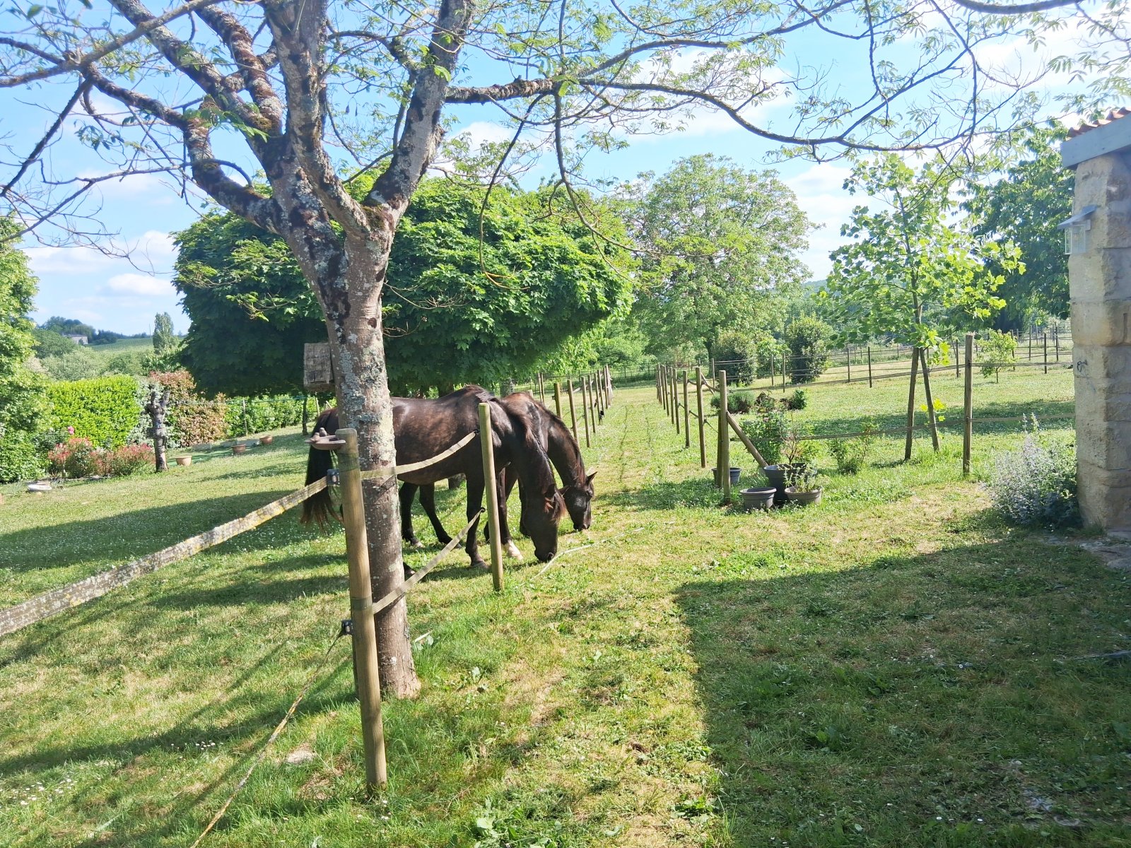 Se vende casa para amantes de los caballos en el número 2609 del suroeste de Francia, en Saint-Émilion.