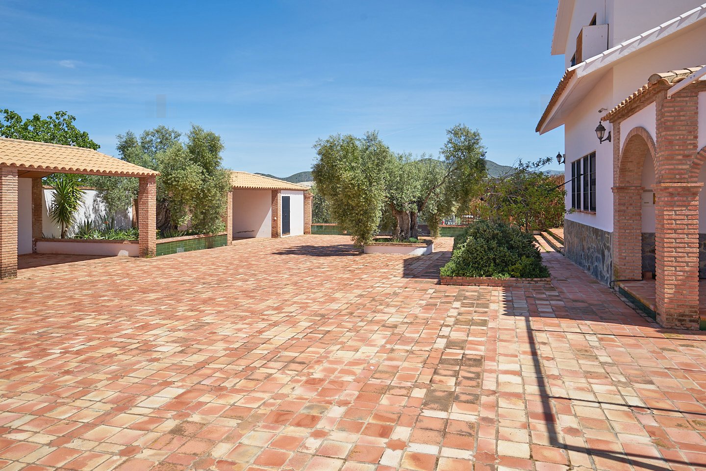 2614KN Andalucía, provincia de Cádiz, Olvera, finca, piscina, olivos en venta 2614KN Andalucía, provincia de Cádiz, Olvera, finca, piscina, olivos en venta